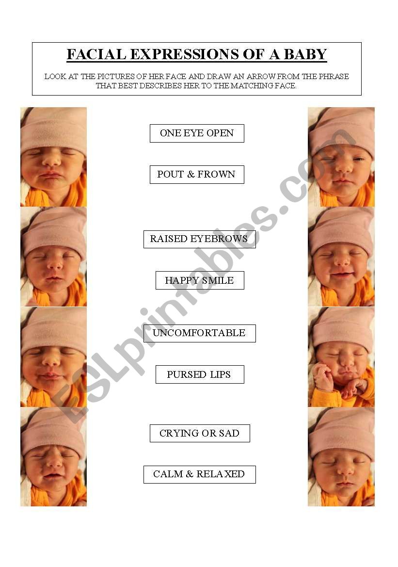 Facial Expressions of a Baby worksheet