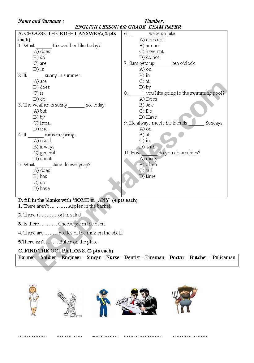 6th grades exam paper (new) worksheet