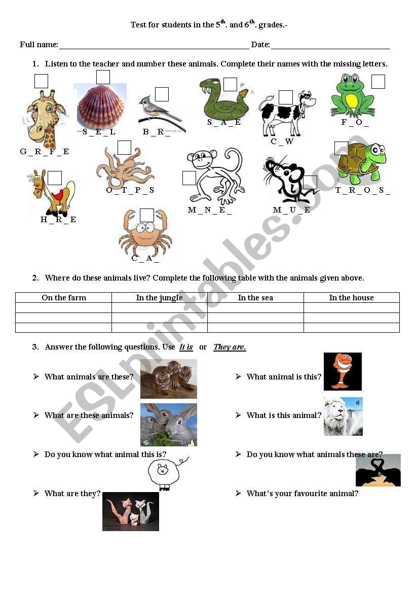 animals-plurals and singular worksheet