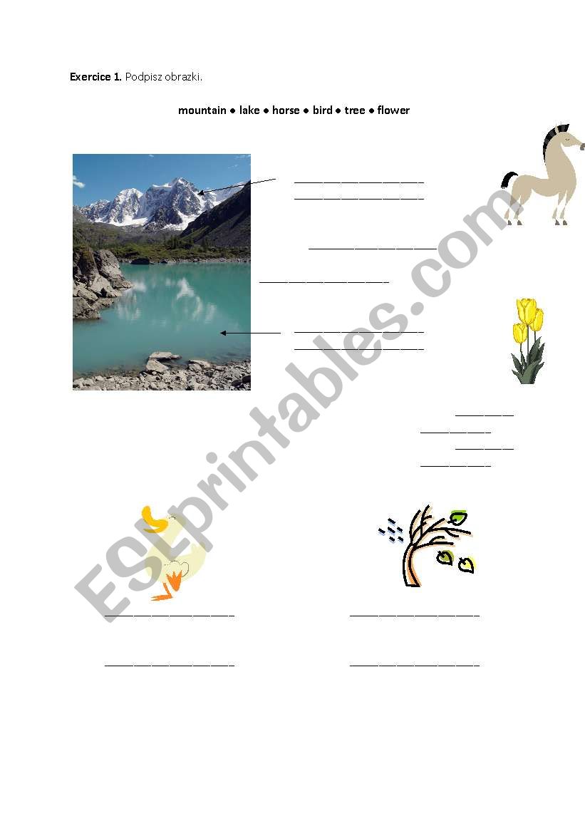 mountain ● lake ● horse ● bird ● tree ● flower