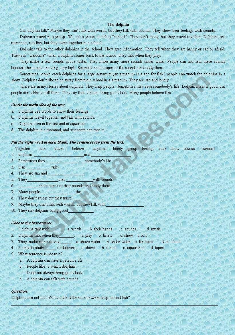 The Dolphin worksheet