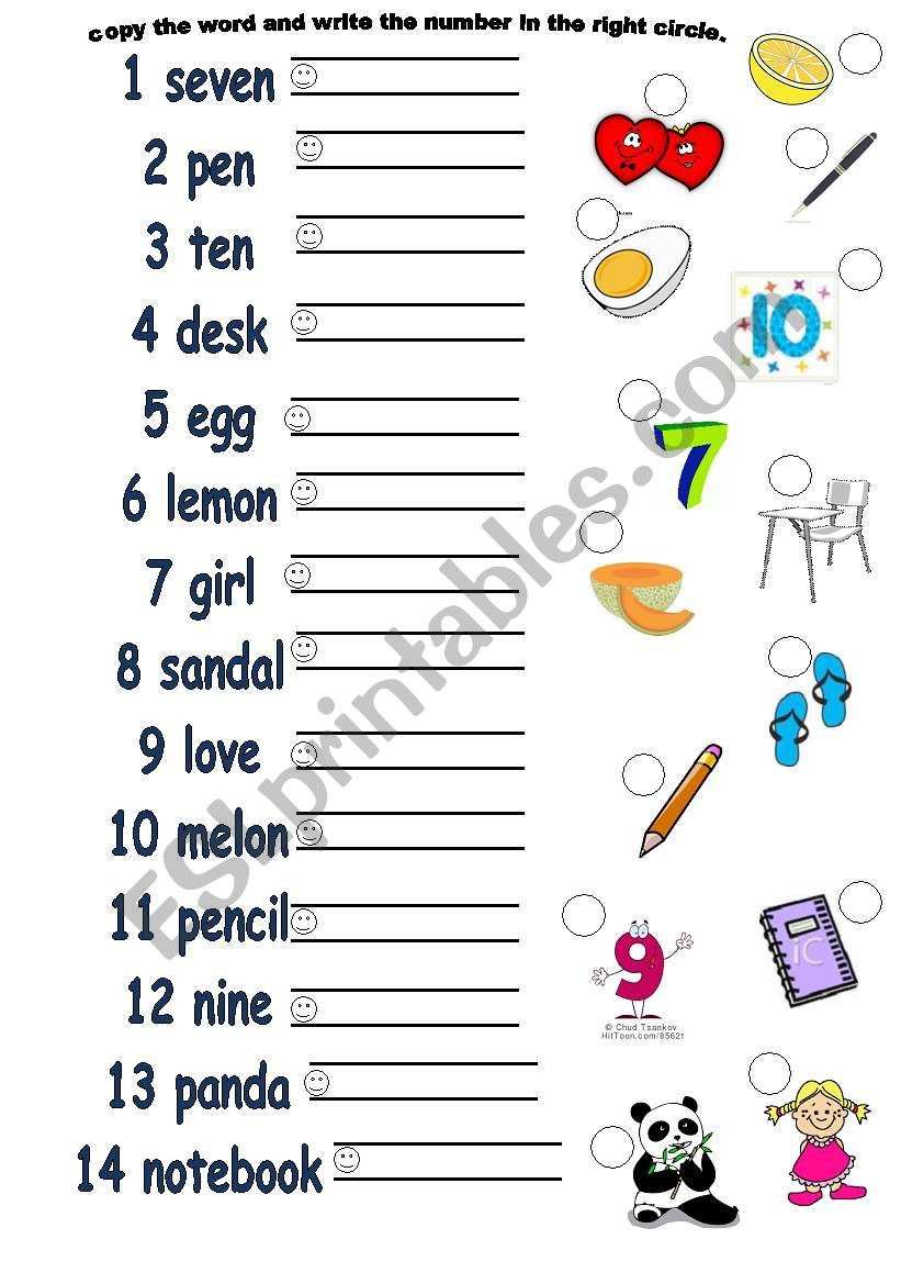 e l n p a words worksheet