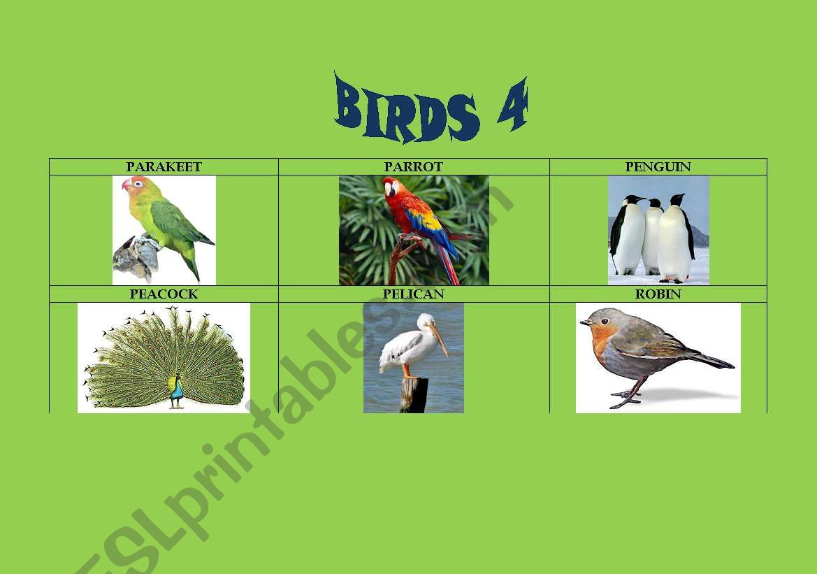 Birds 4/5 worksheet