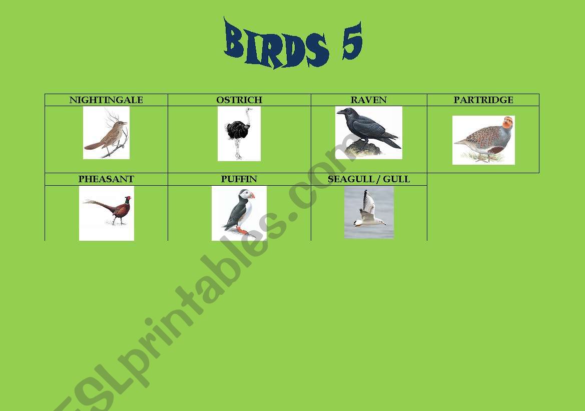 Birds 5/5 worksheet