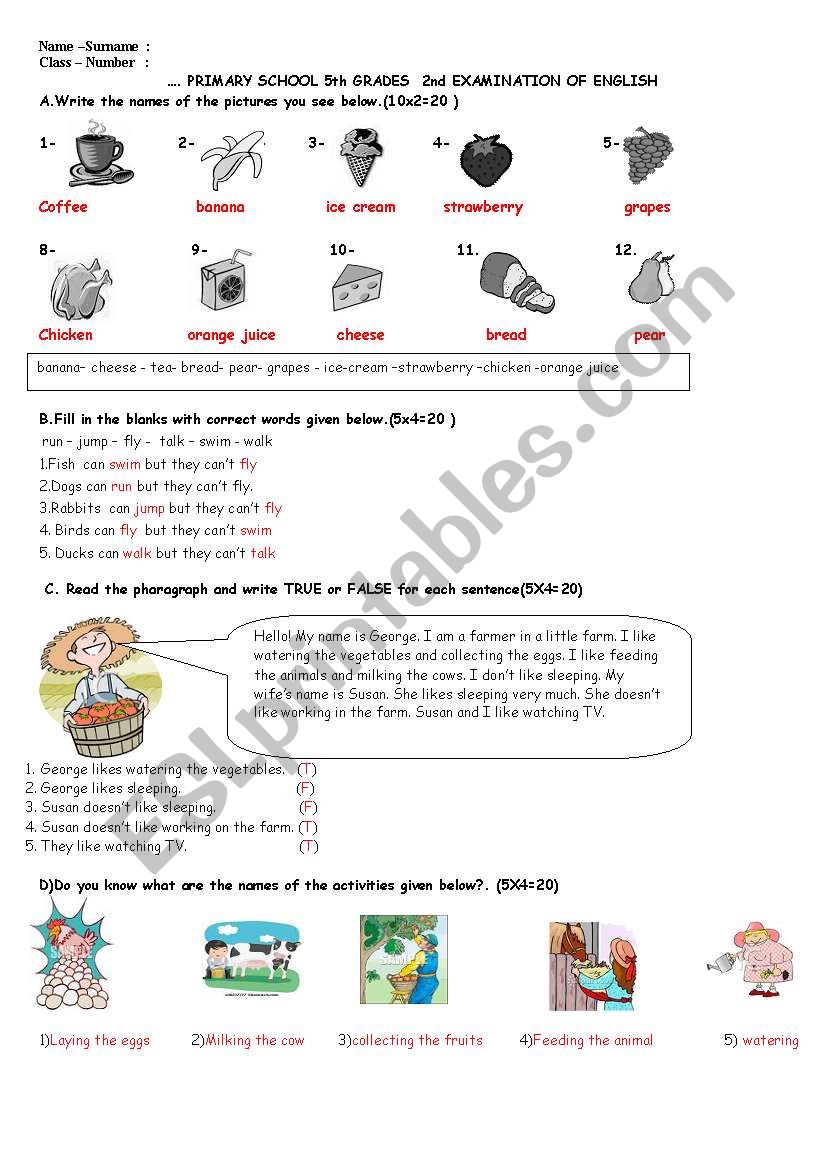 An examýnation for fifth grades
