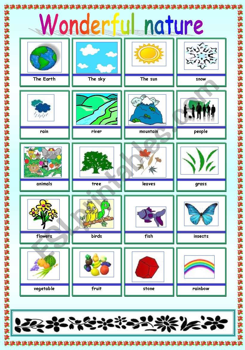Nature pictionary worksheet