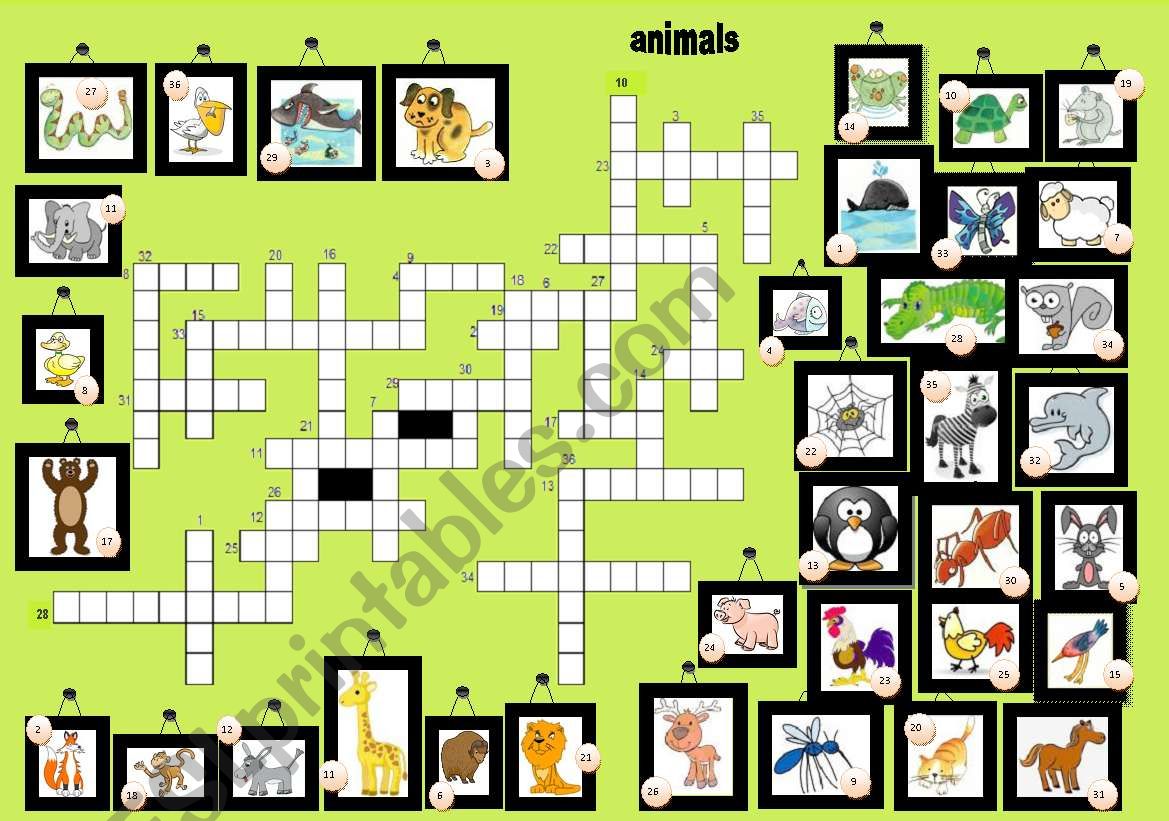 36 animals in crossword.  worksheet