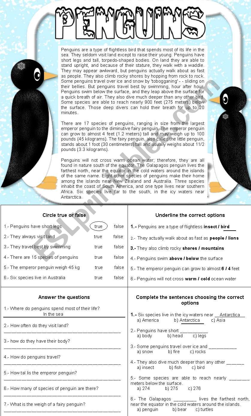 PENGUINS - READING COMPREHENSION + 4 DIFFERENT ACTIVITIES