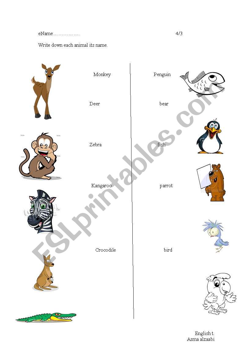 animals  worksheet