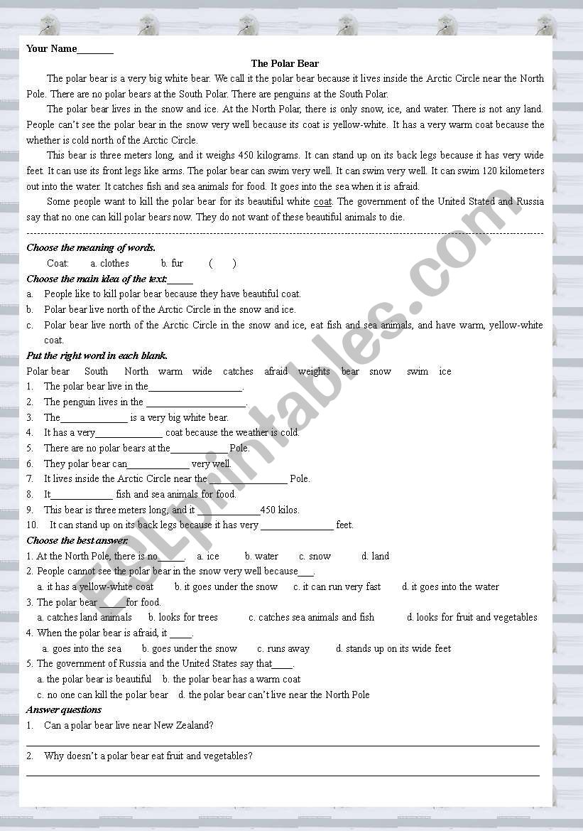 the polar bear worksheet