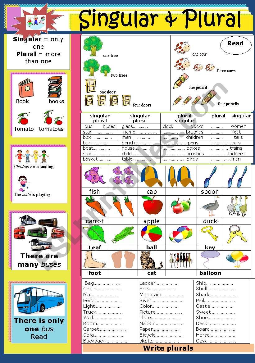 singular-and-plural-esl-worksheet-by-jhansi