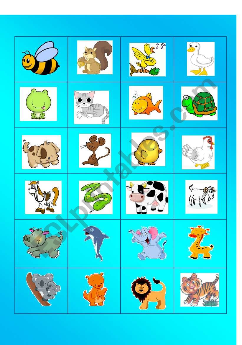 ANIMAL MEMORY CARDS worksheet