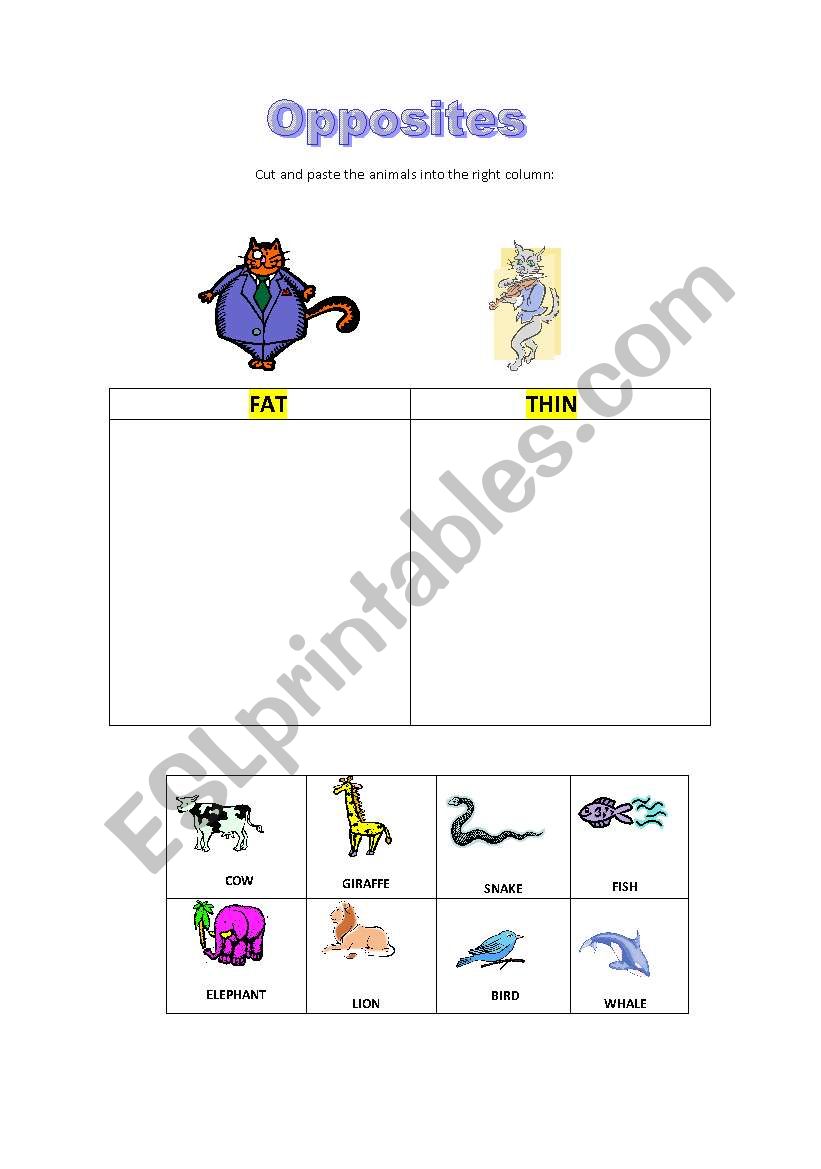 OPPOSITES worksheet