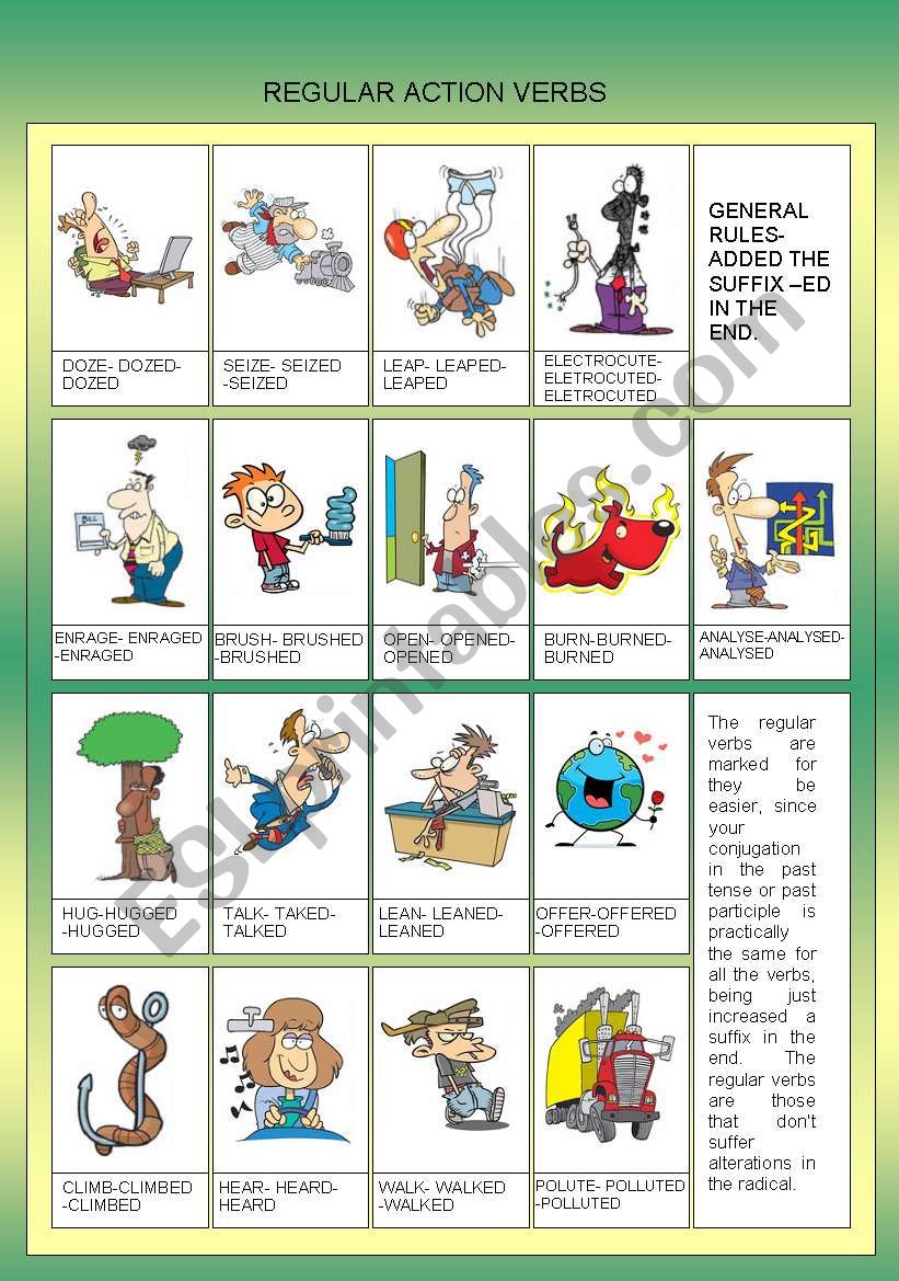 REGULAR ACTION VERBS - EDITABLE