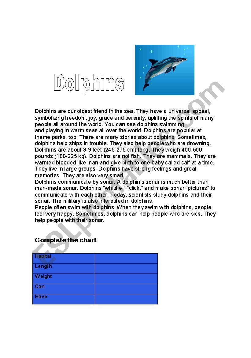Dolphins worksheet