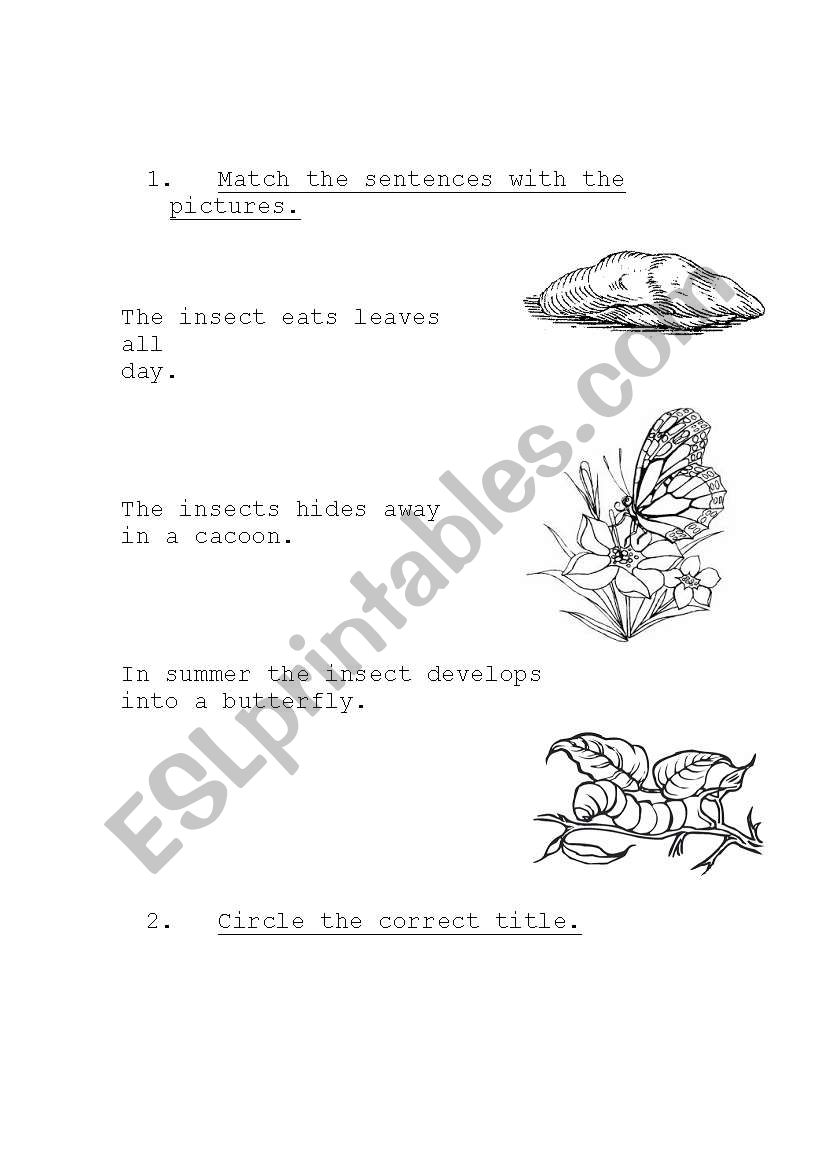 Dveloping Sequnce worksheet