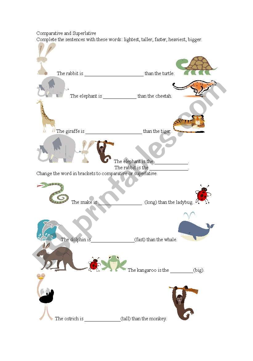 Comparative and Superlative with Animal Pictures