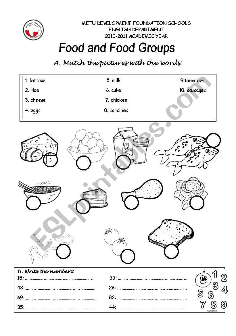 food groups worksheet