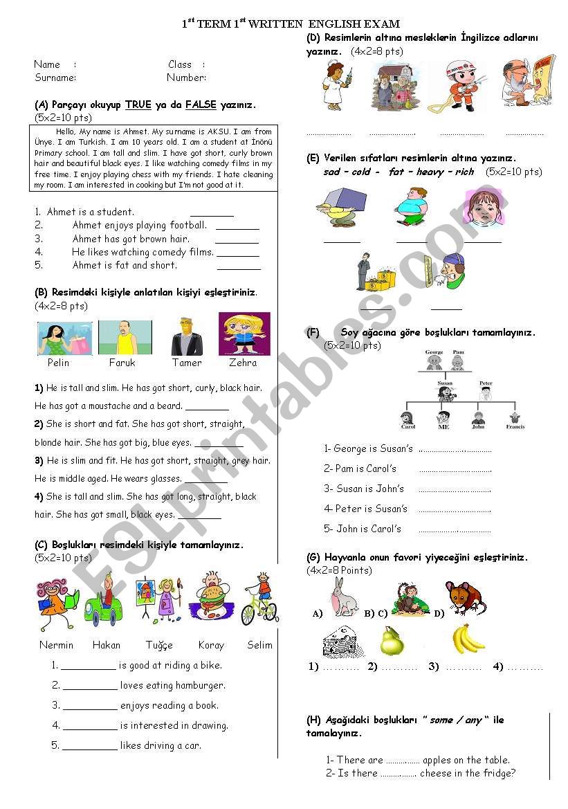 exam for elementary worksheet