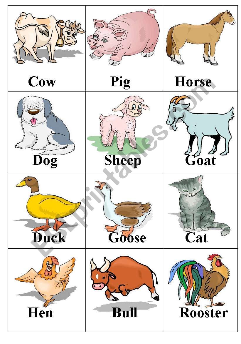 farm animal worksheet