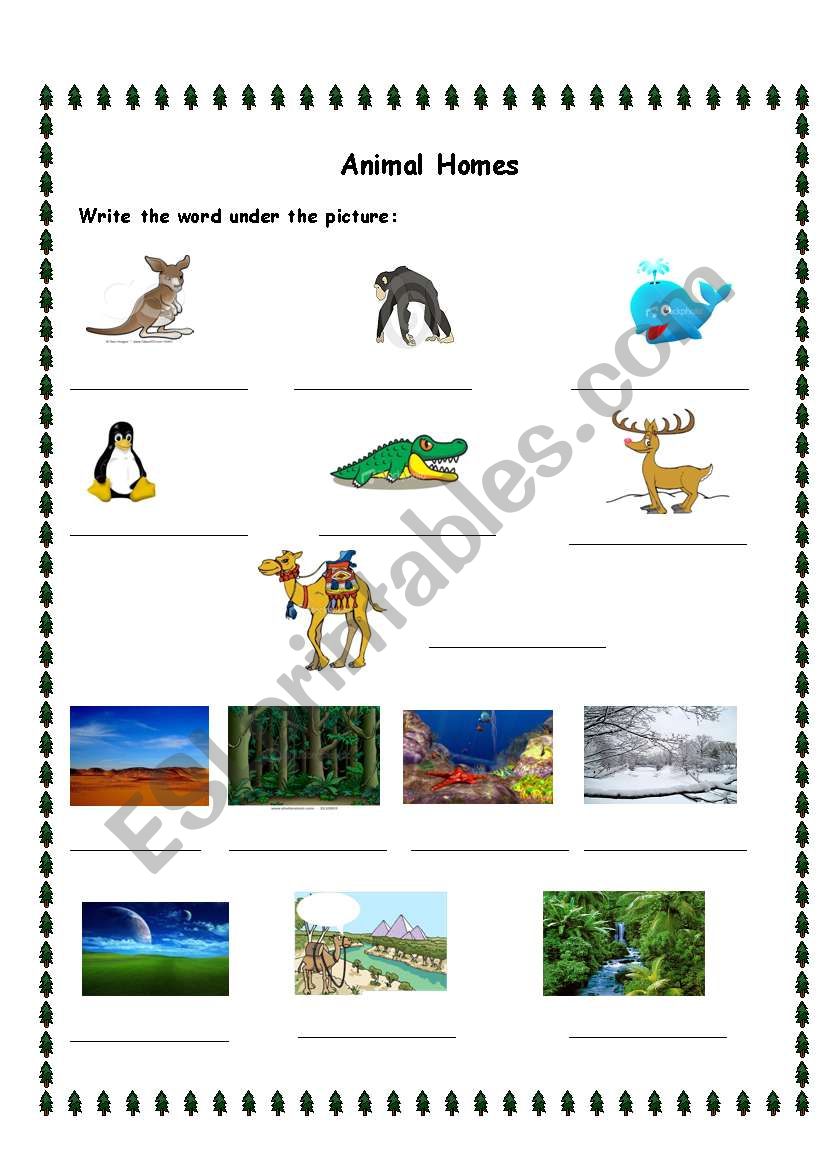 animals worksheet