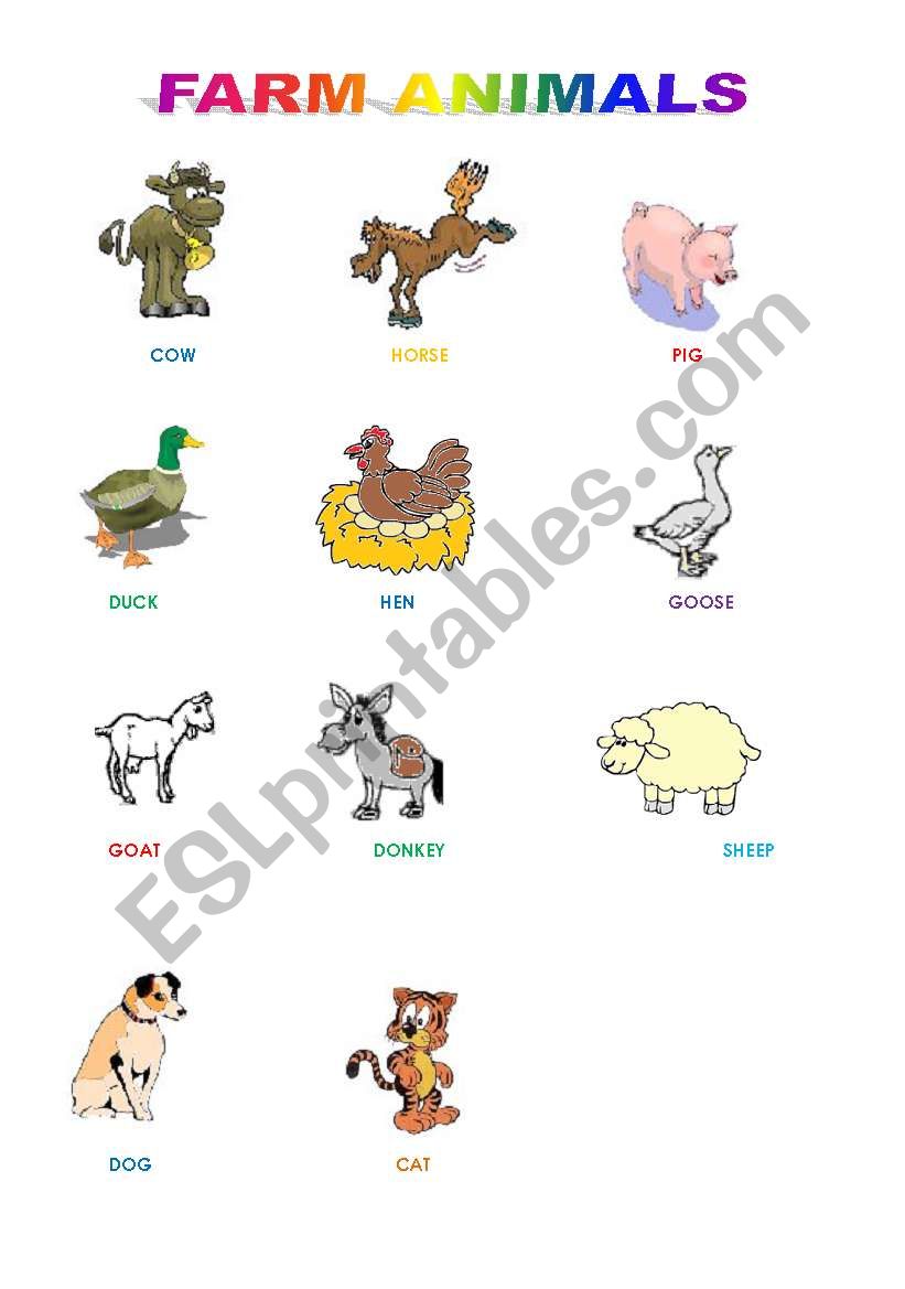 farm animals worksheet