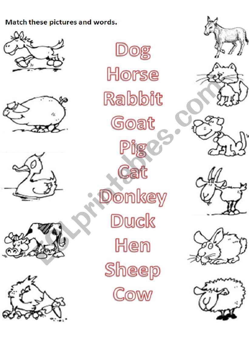 Animal matchin worksheet