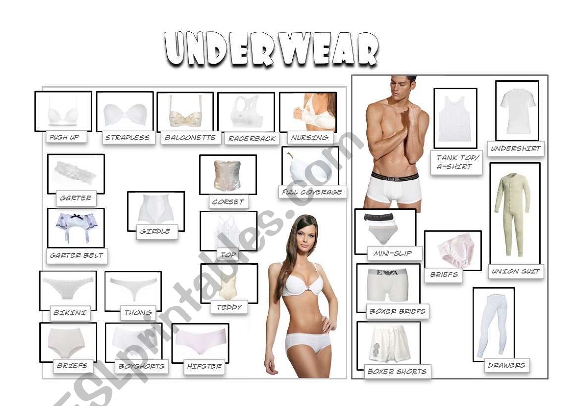 underwear worksheet