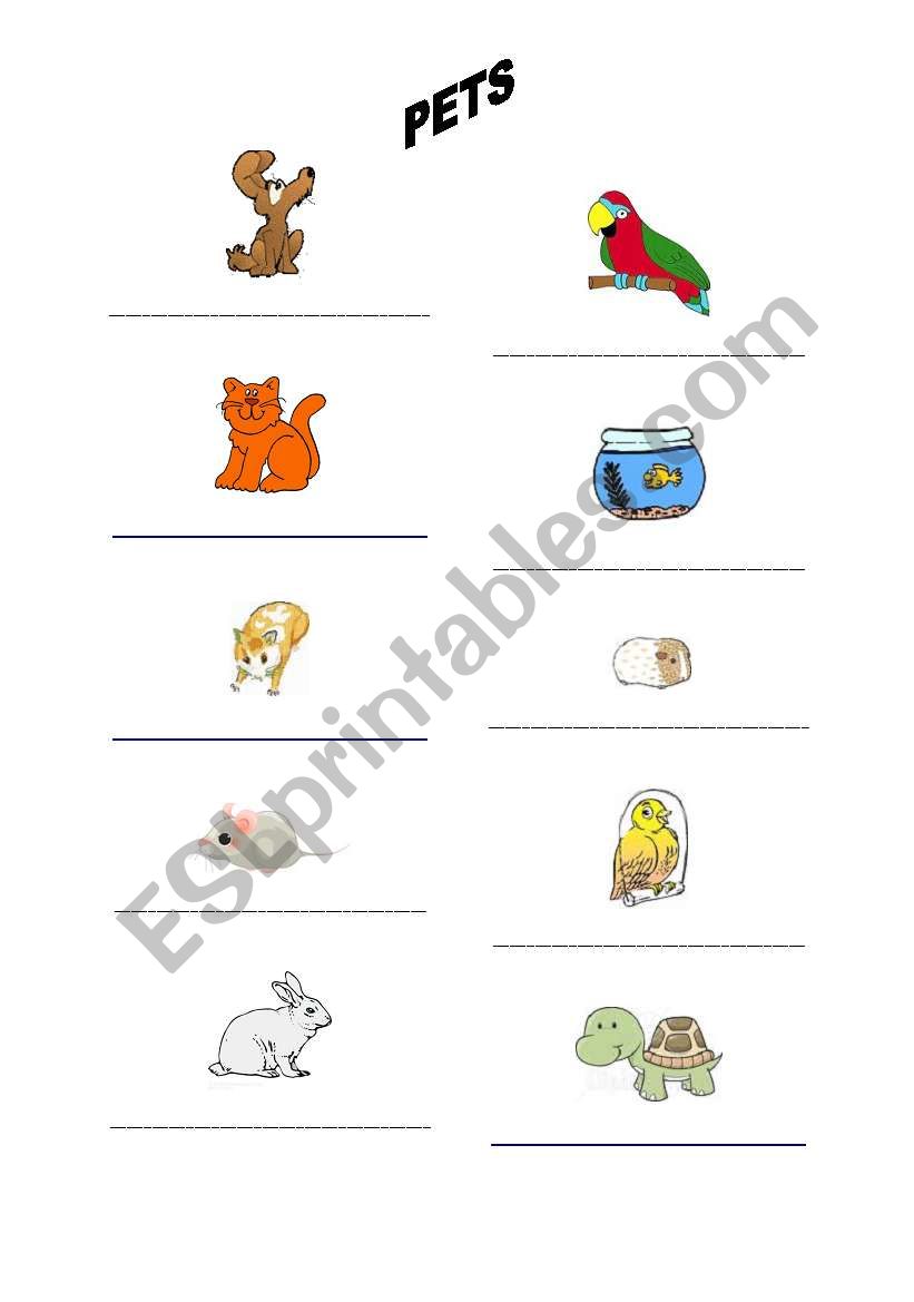 PETS worksheet