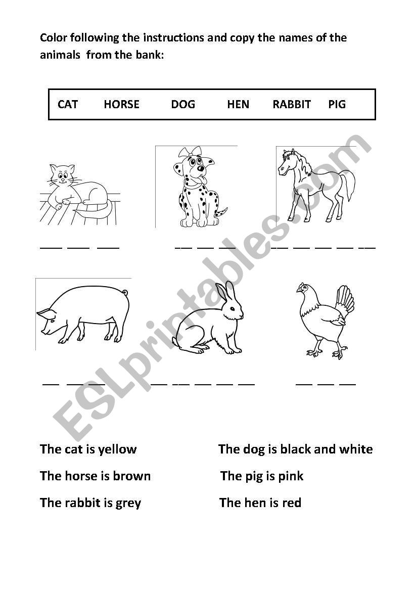 color the animals and copy worksheet