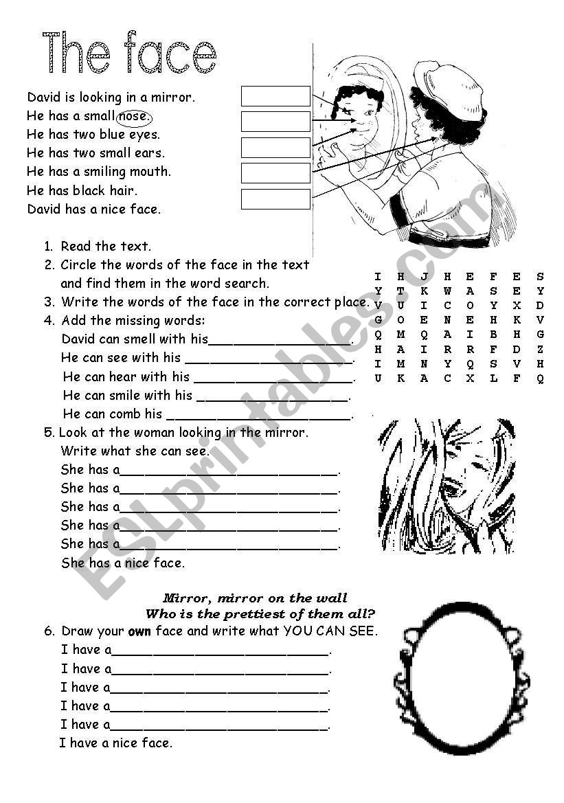 The face worksheet