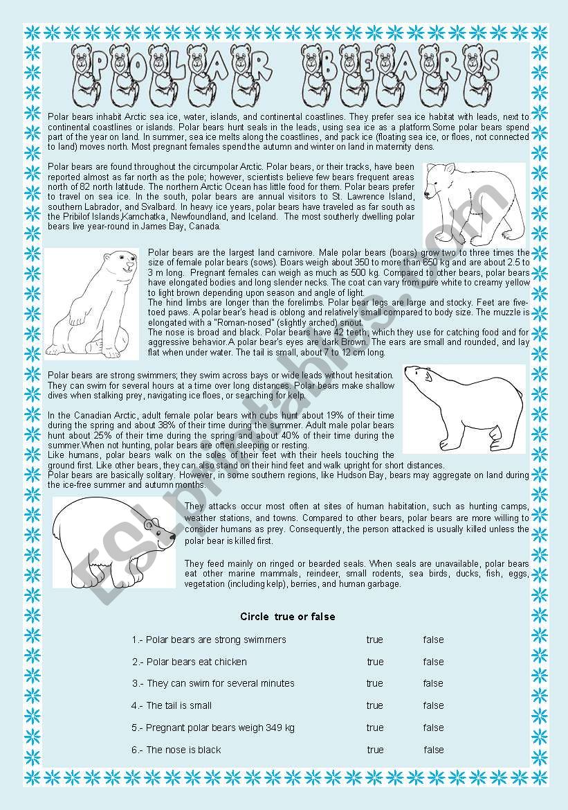 POLAR BEARS - READING COMPREHENSION + 5 DIFFERENT EXERCISES
