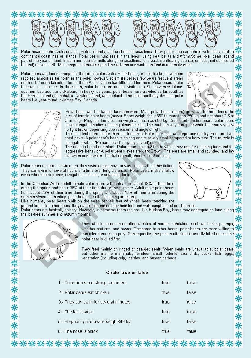 polar-bears-reading-comprehension-5-different-exercises-esl