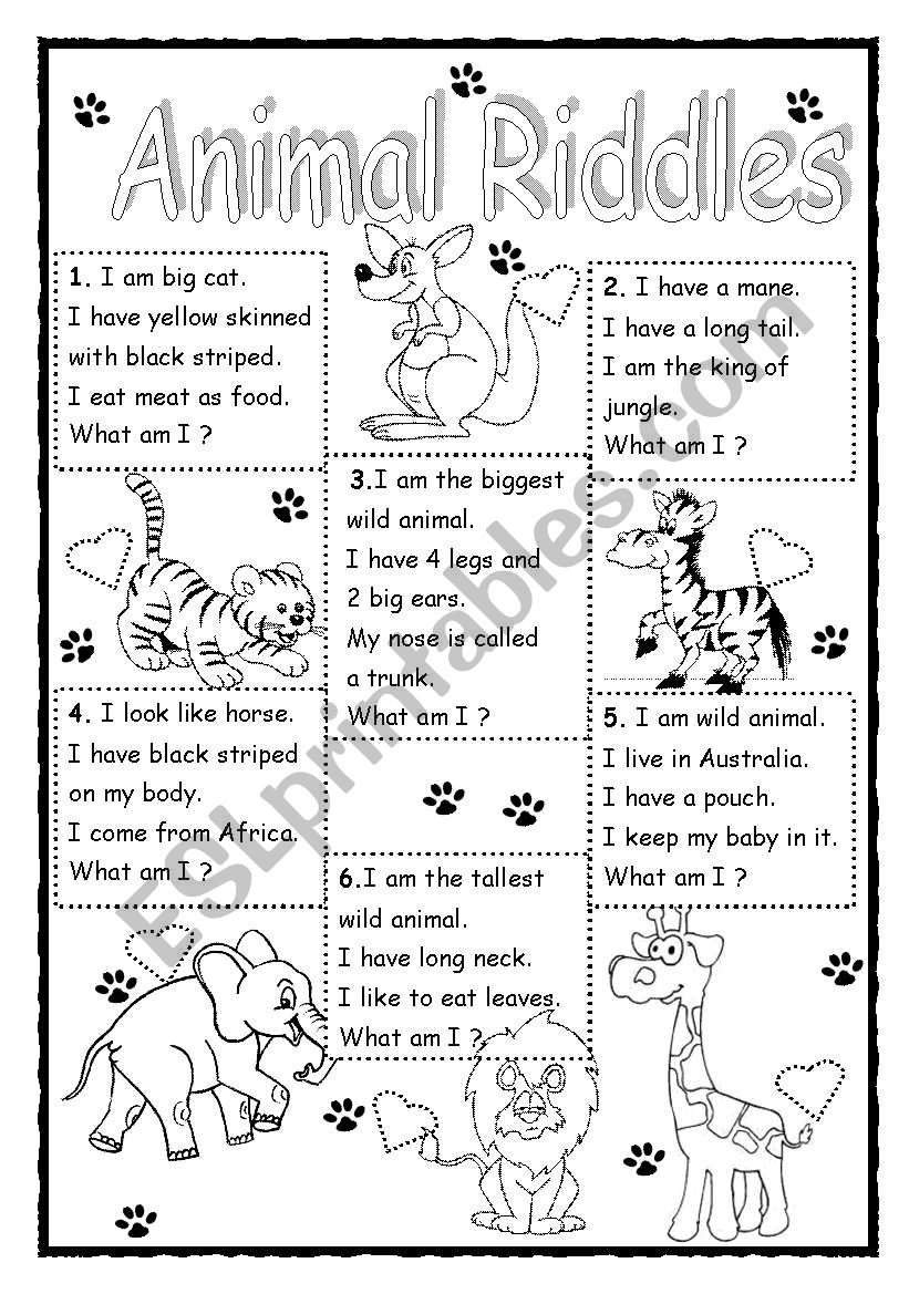 Animal Riddles worksheet