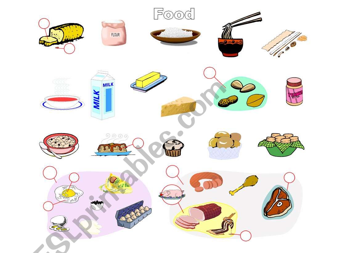 food worksheet