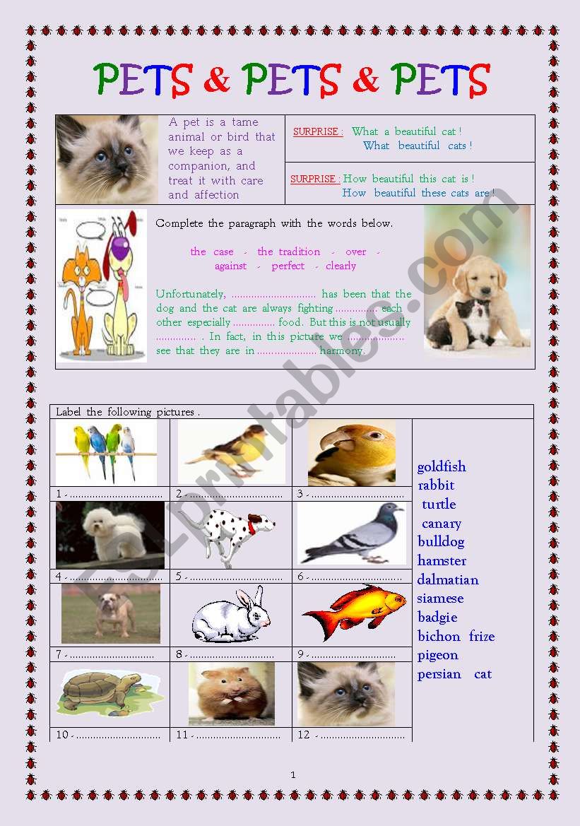 pets & pets & pets (edited worksheet)