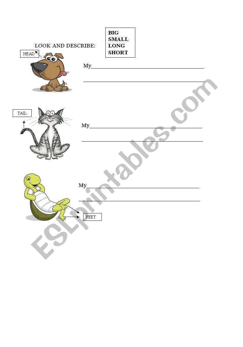 Describing animals worksheet