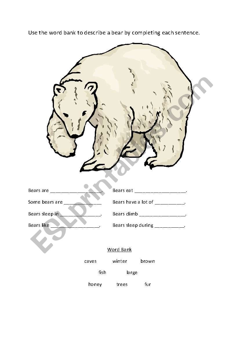 Describe a bear worksheet: An exercise in adjectives