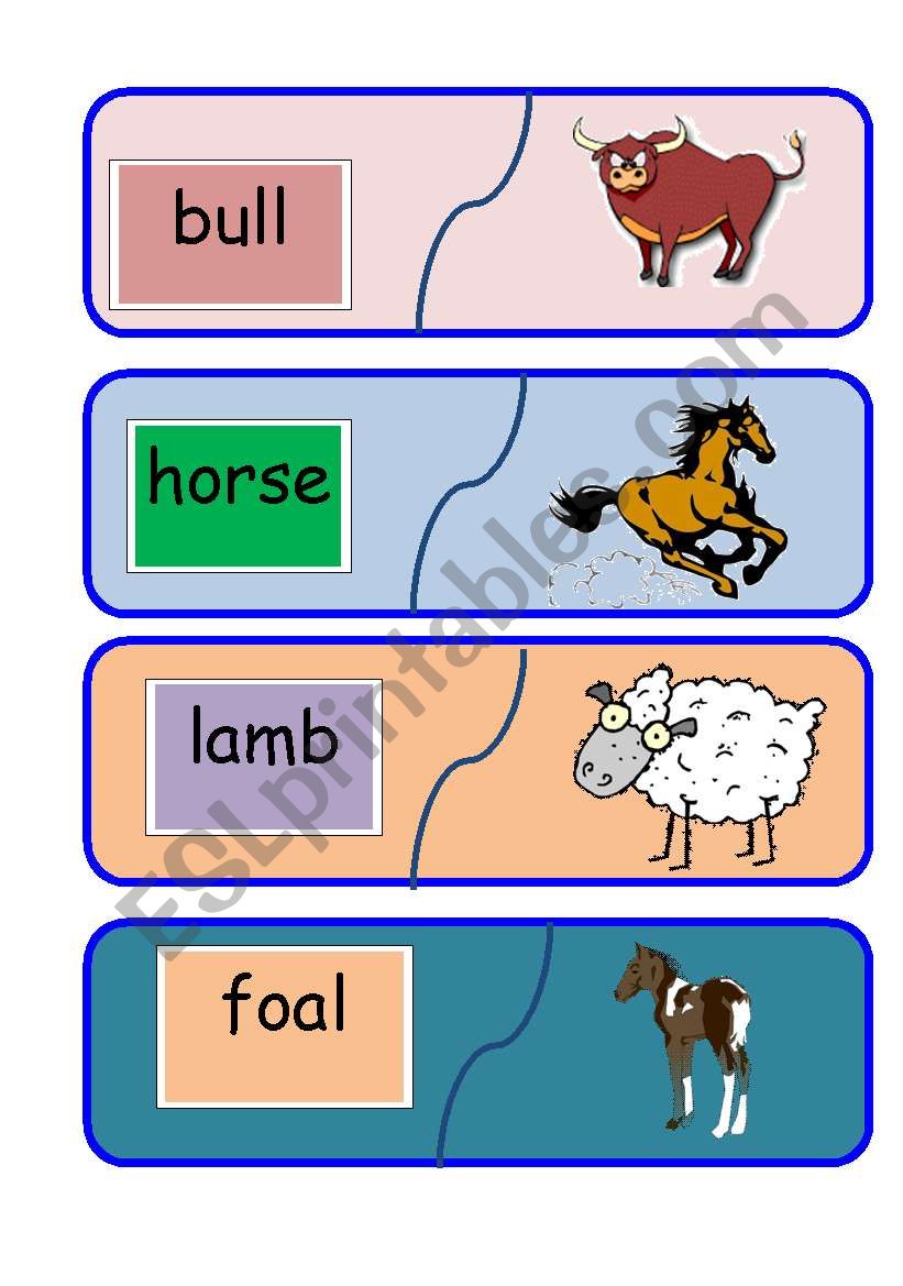 animal word to picture matching game 3