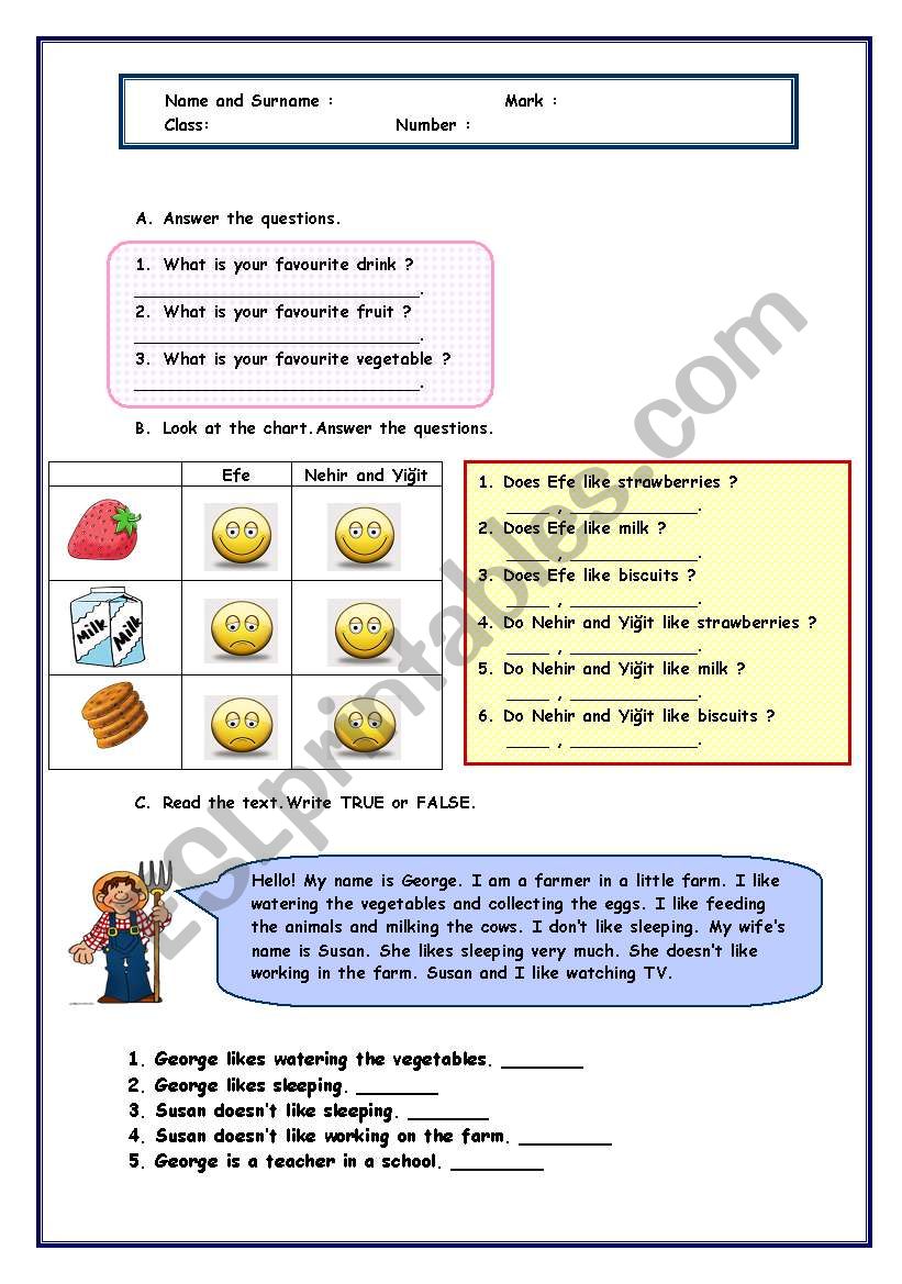 likes and dislikes worksheet