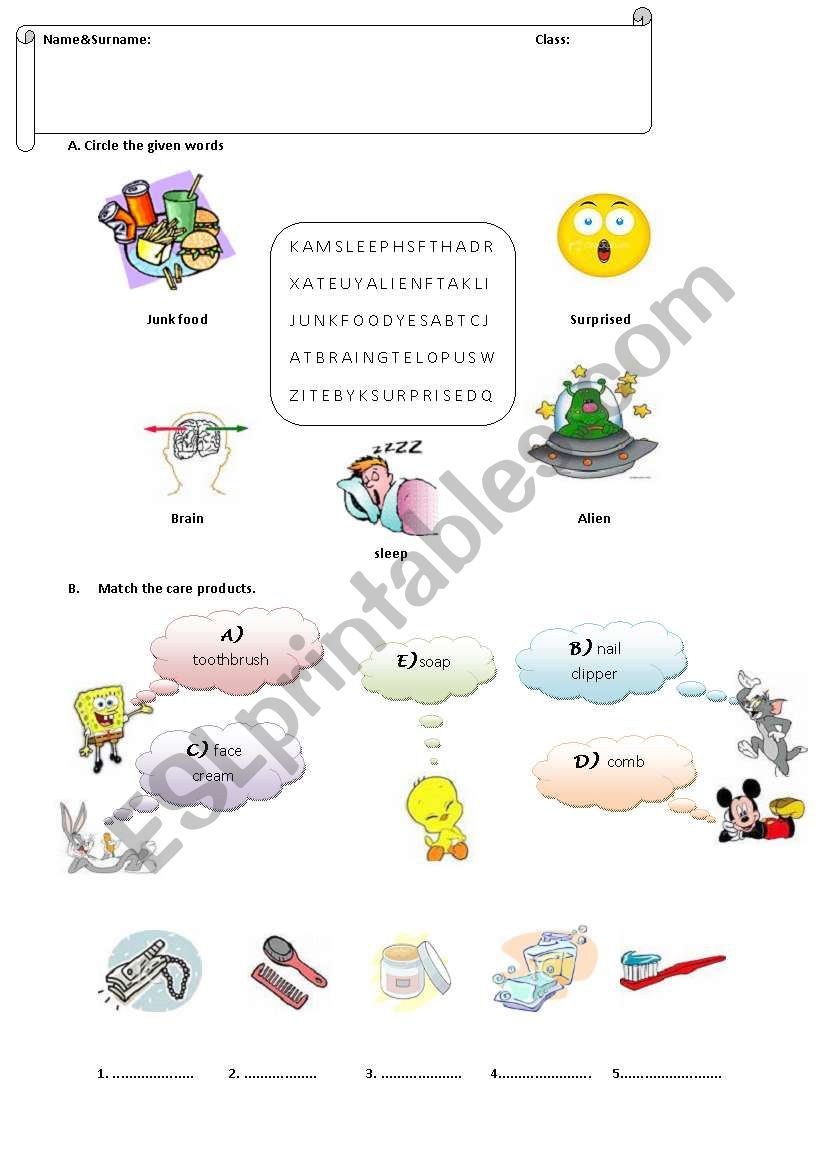 general vocabulary worksheet