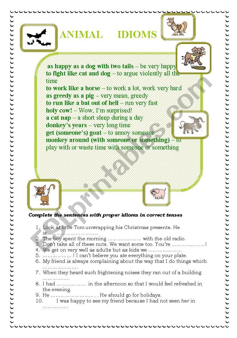 animal idioms worksheet