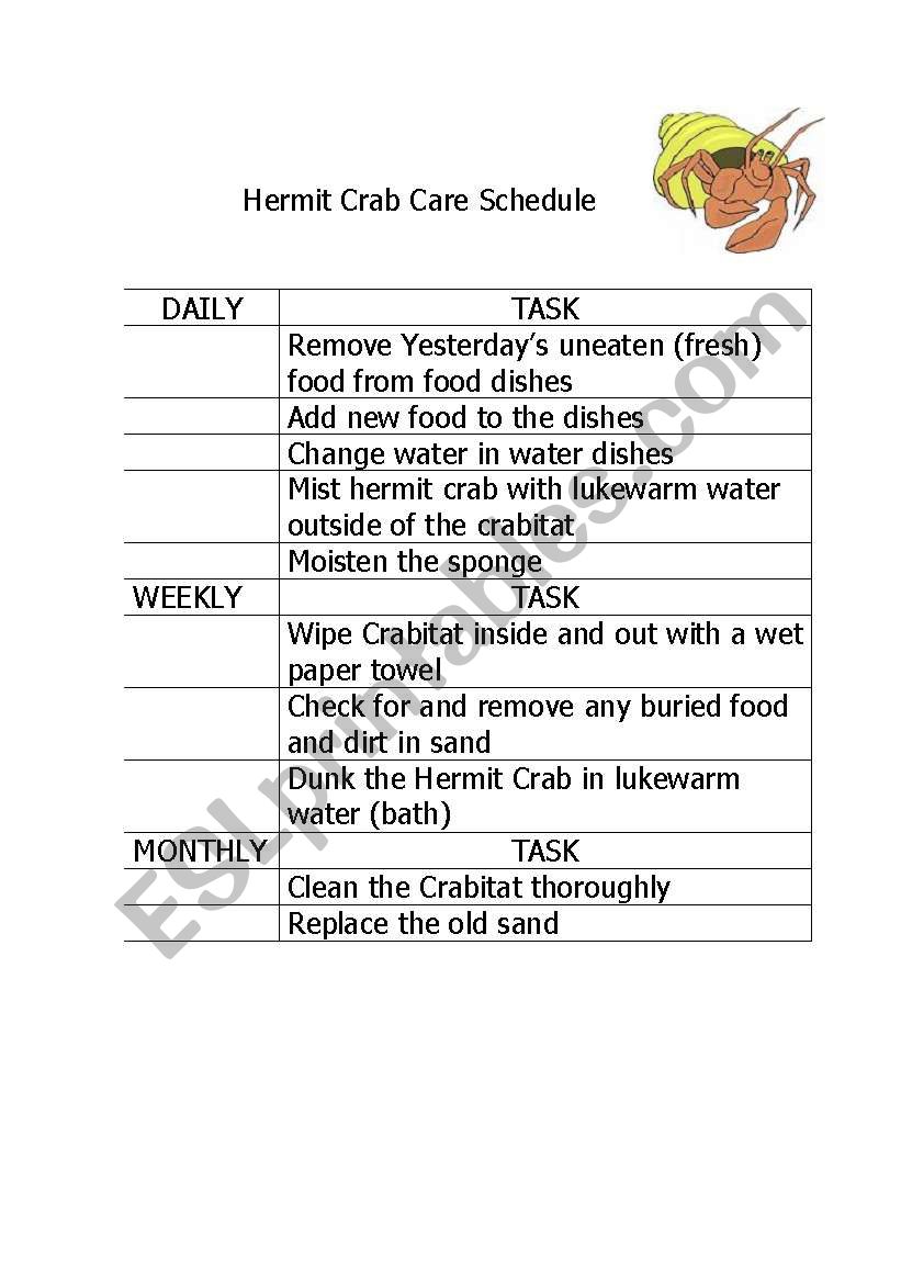 Hermit Crab Care Schedule worksheet