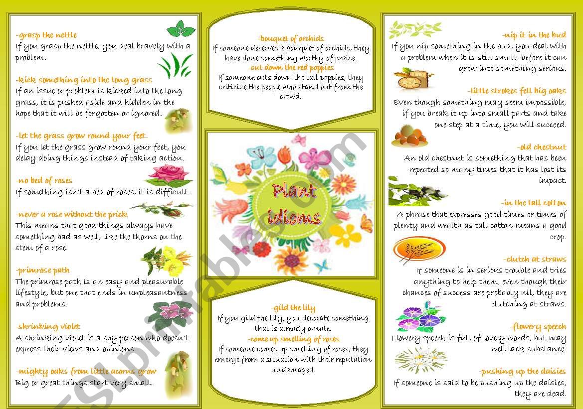 Plant idioms worksheet