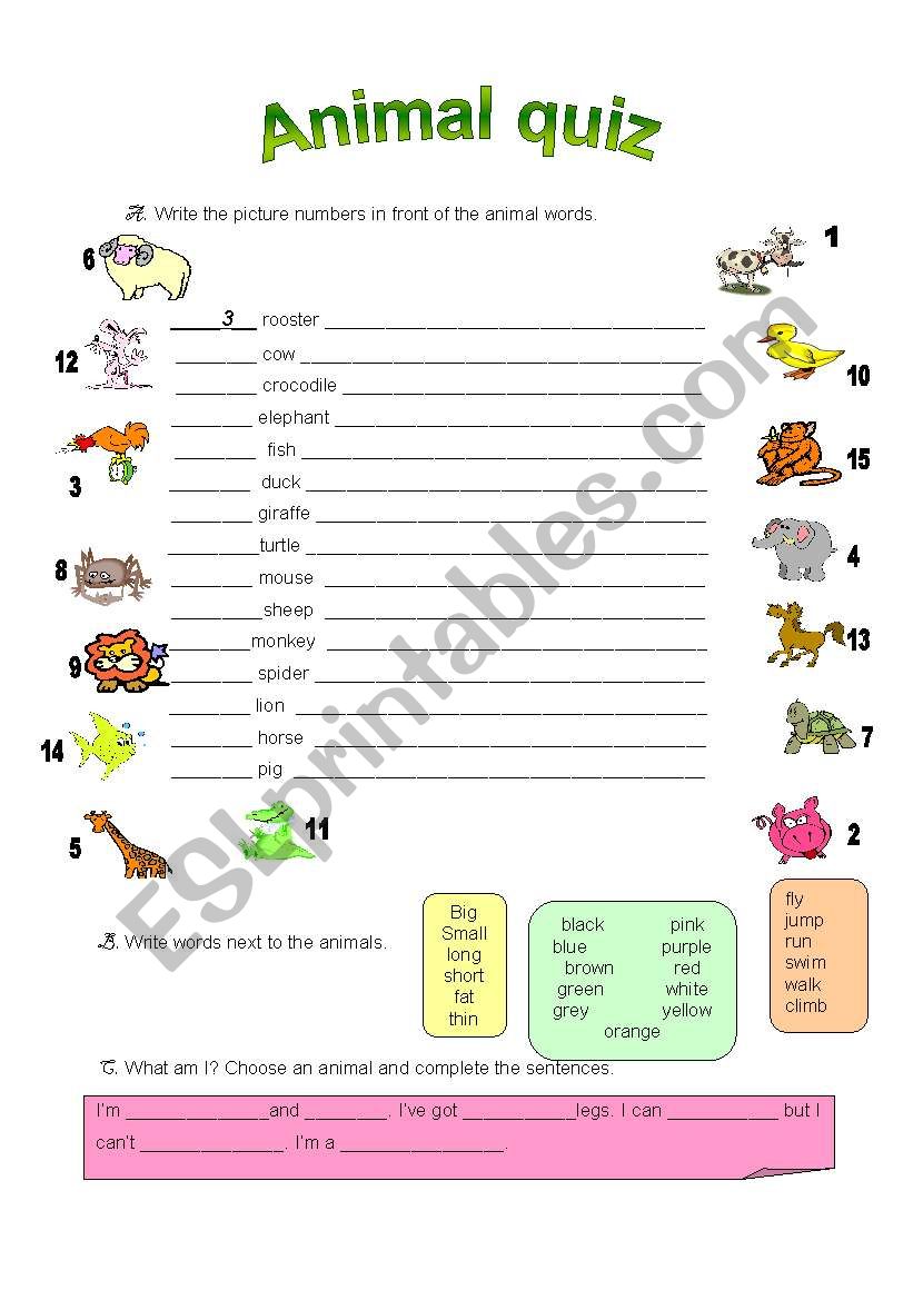 Animal quiz worksheet