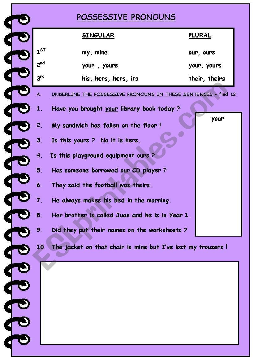 POSSESSIVE PRONOUNS worksheet