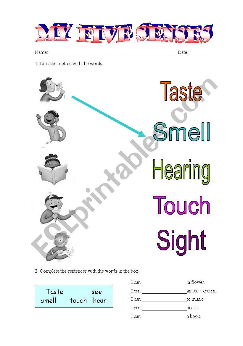 my five senses worksheet