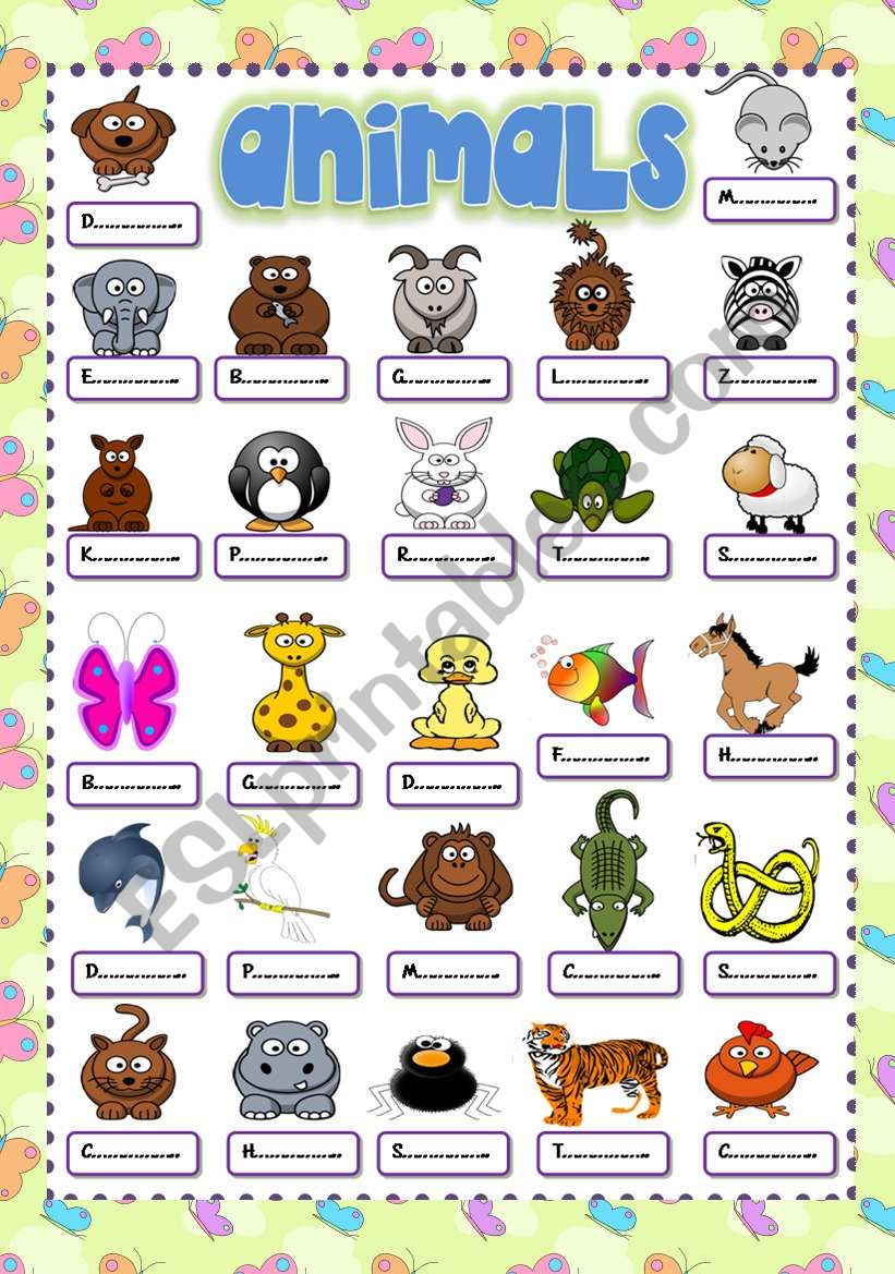 Cute animals worksheet