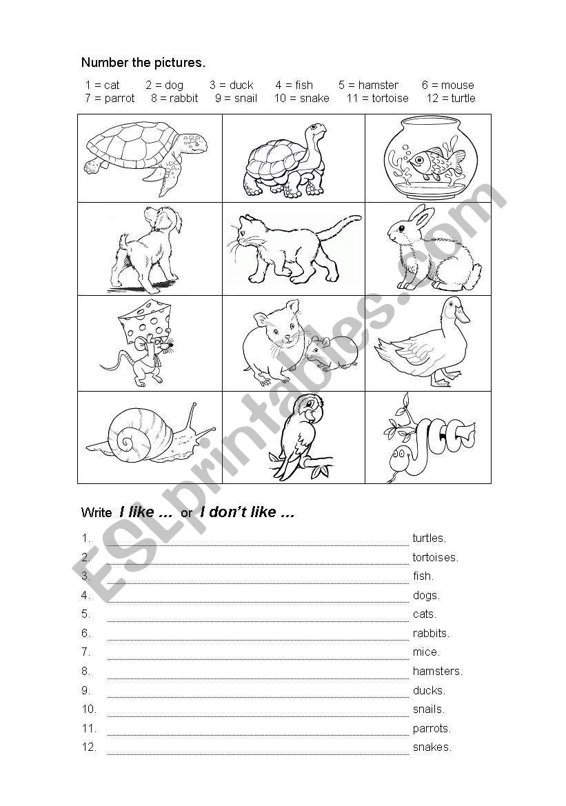 Pets worksheet