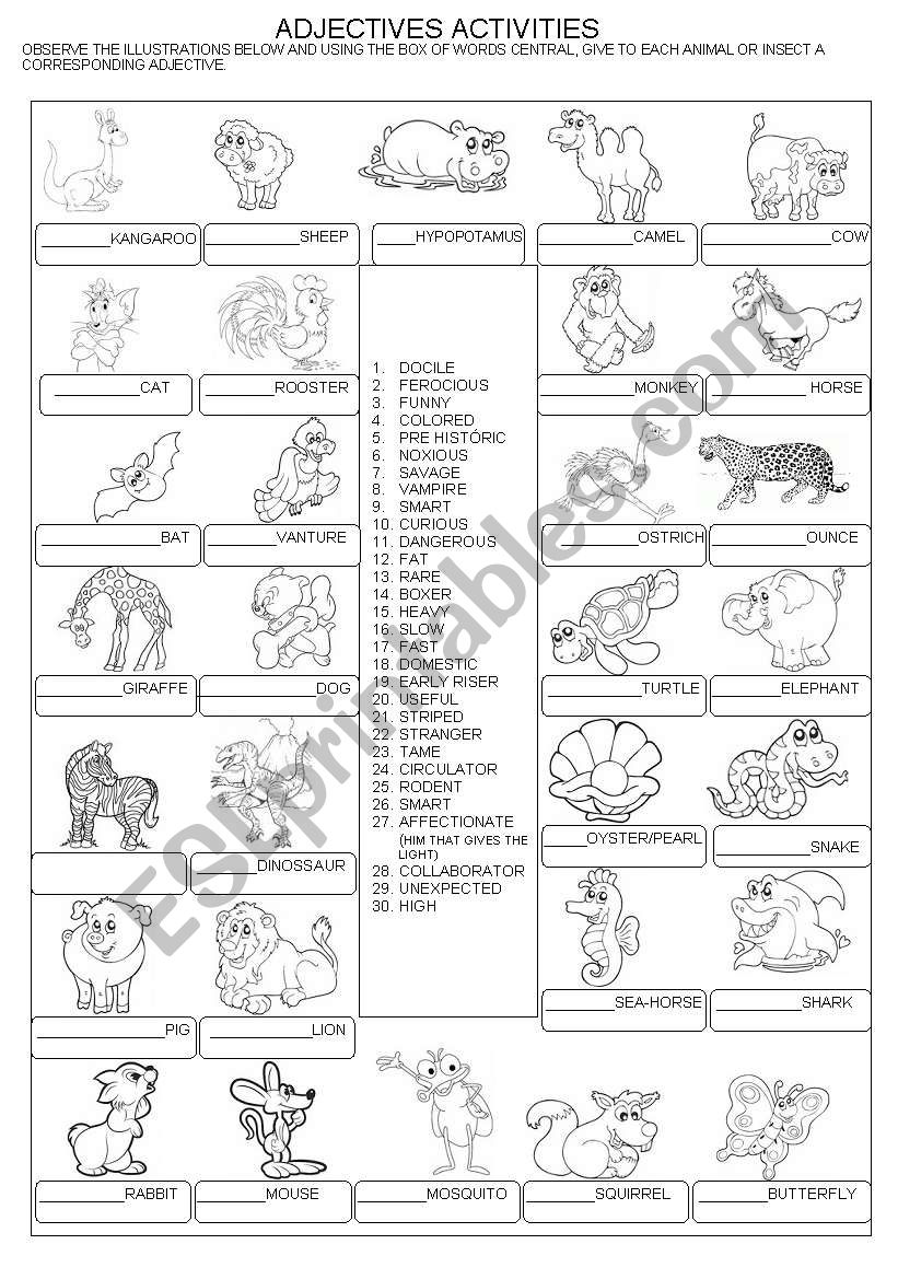 ADJECTIVES ACTIVITIES  WITH ANIMALS+ KEY  INCLUDED
